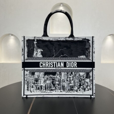 Christian Dior Shopping Bags